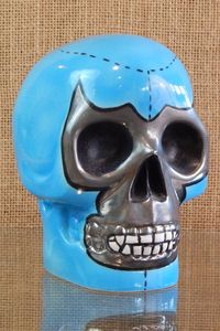 Box50 Munktiki Lucha Libre Skull Mug 1 wrestlers skulls blue silver newskullset