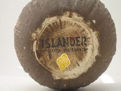 Islander Coconut Mug - 22381